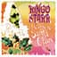 Ringo Starr