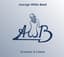 Average White Band