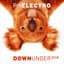 PH Electro