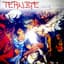 Ternipe