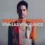 Panic! at the Disco