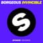 Borgeous