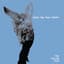 Sunny Day Real Estate