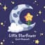 Little Starflower
