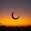 Placidous