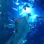 Celestial Aeon Project