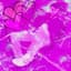 Wzrdh47
