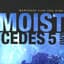 Moist