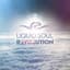 Liquid Soul