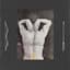 Forest Swords