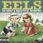 Eels