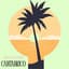 Fat Palm