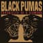 Black Pumas