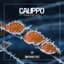 Calippo