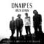 Dnaipes