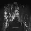 Drapht