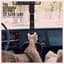 The Reverend Peyton's Big Damn Band