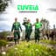 TuVeia