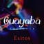 Guayaba Orquesta