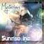 Sunrise Inc