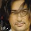 çelik