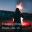 People_Like_ Us