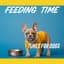 Tunes for Dogs