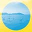 Local Natives