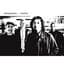 Yellowjackets
