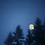 Nitewalk