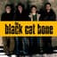 The Black Cat Bone