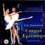 Moscow New Philharmonic Orchestra