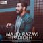Majid Razavi