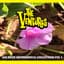 The Ventures