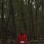 Night Lovell