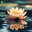 Blooming Lotus