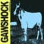 Gawshock
