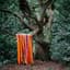 James Holden