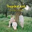 Tropikel Ltd