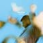 Alec Benjamin