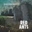 Red Ants