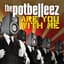 The Potbelleez