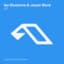 Ilan Bluestone