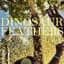 Dinosaur Feathers