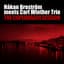 Carl Winther Trio