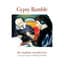The Stephane Wrembel Trio