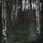 Moorland Songs