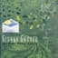 Ginkgo Garden