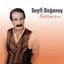 Seyfi Doganay