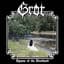 Grot